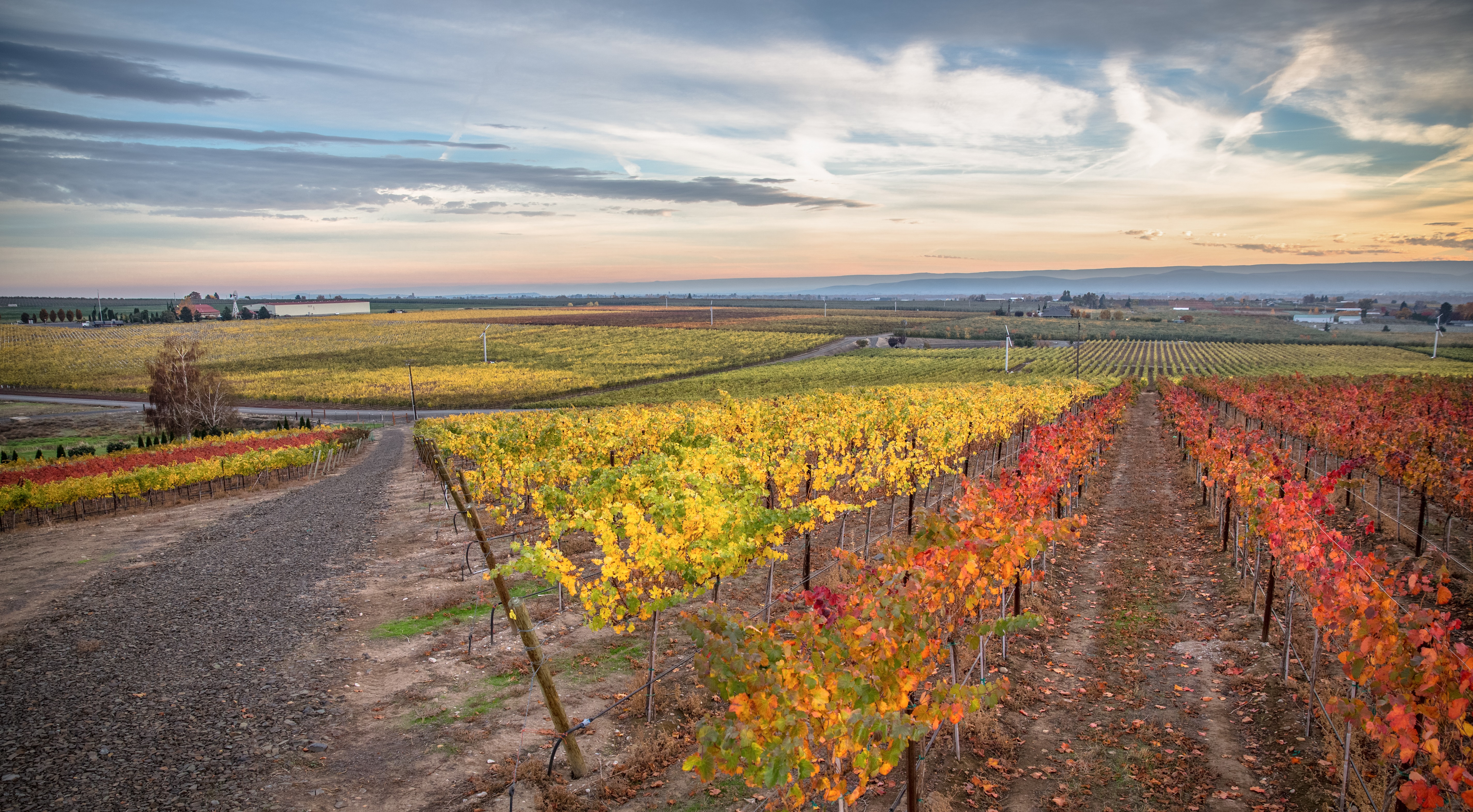 Winery Tasting Room & Wine Club Yakima, WA Antolin Cellars