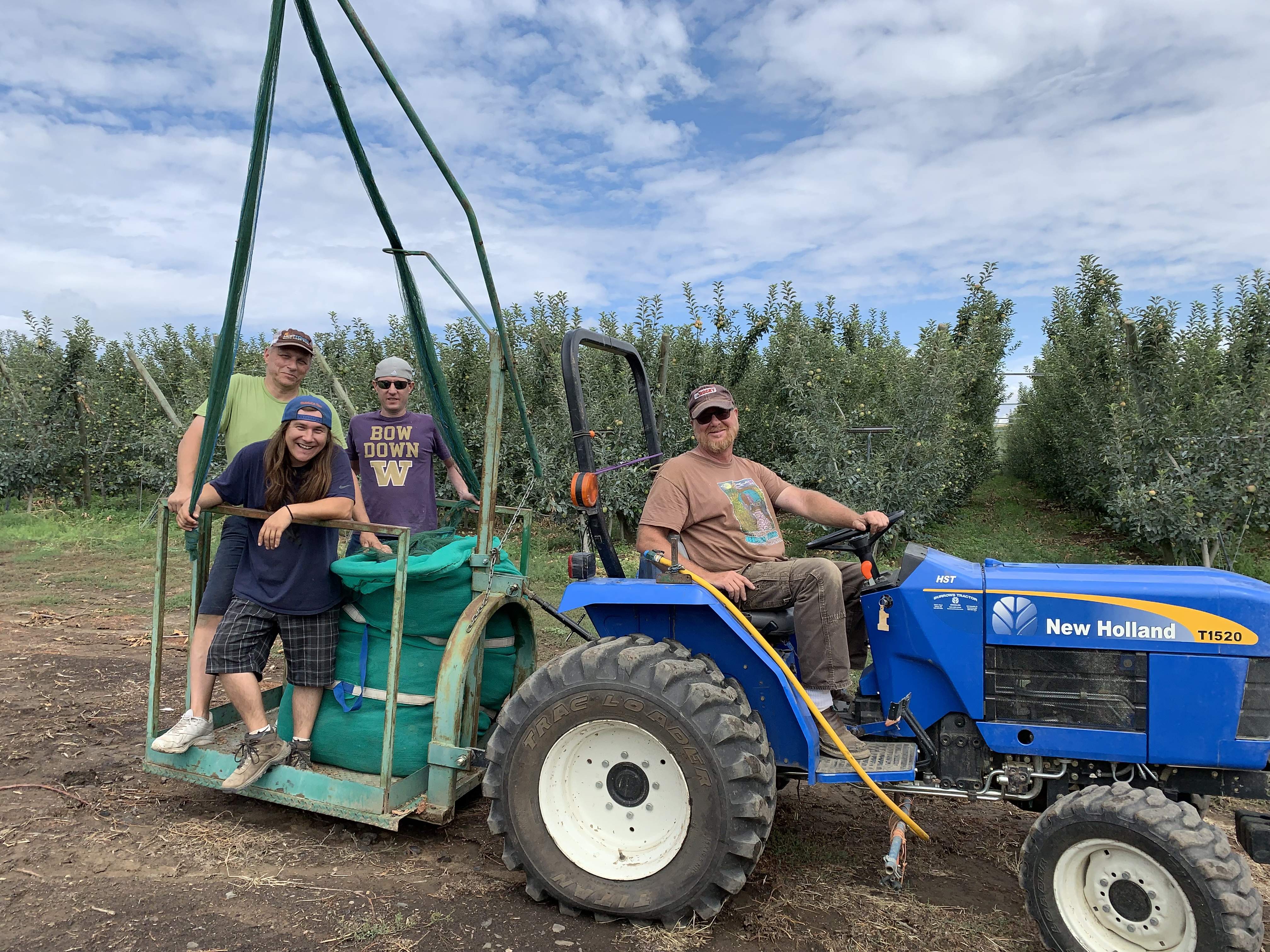 Bird Netting the AntoLin Cellars Estate Vineyard Zillah  WA 